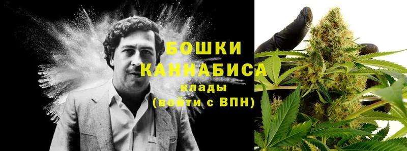 Марихуана THC 21%  Котово 